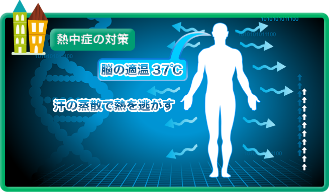 熱中症の原因と対策