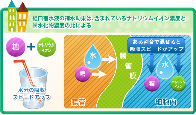 脱水症に効果的な経口補水液