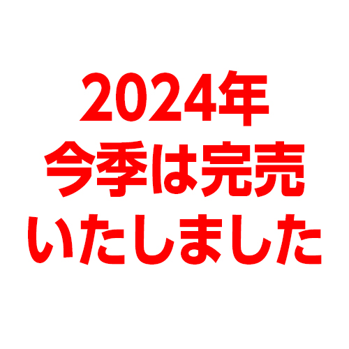 2024新モデルカナリアプラスplus4個セット熱中症対策 弛め